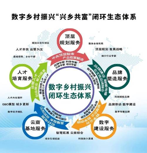 高质量发展调研行|从千年古渡到未来乡村:盈川村“三盈”的秘密