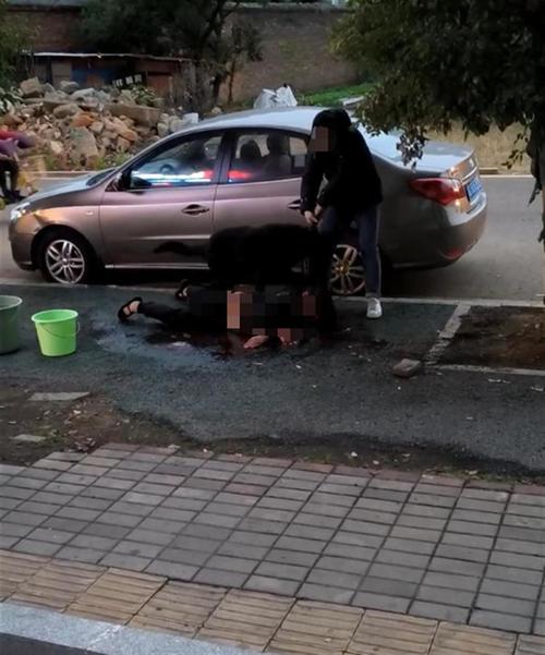 湖南湘潭一德牧咬伤女子,记者探访现场,直击城管带走涉事犬只