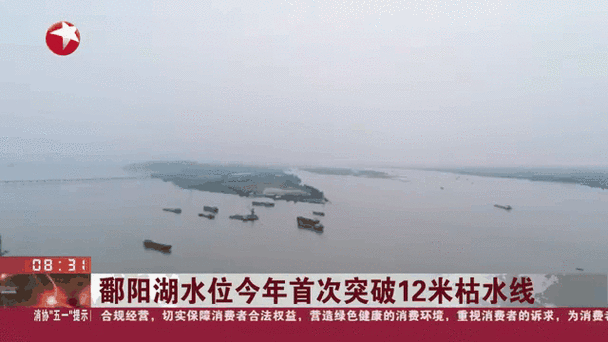 鄱阳湖跌破12米枯水线 保护区鸟类增多