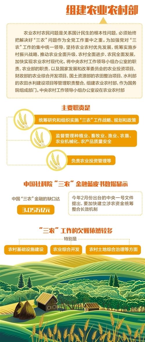 (走进中国乡村)“长江蔬菜岛”的飞行故事