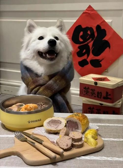 168元一狗!宠物年夜饭预订火热!小猫小狗也要“上桌过年”