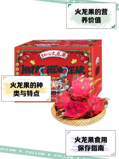 (乡村行·看振兴)广西龙州:火龙果巧打“时间差” 保温套袋催生“早春红”