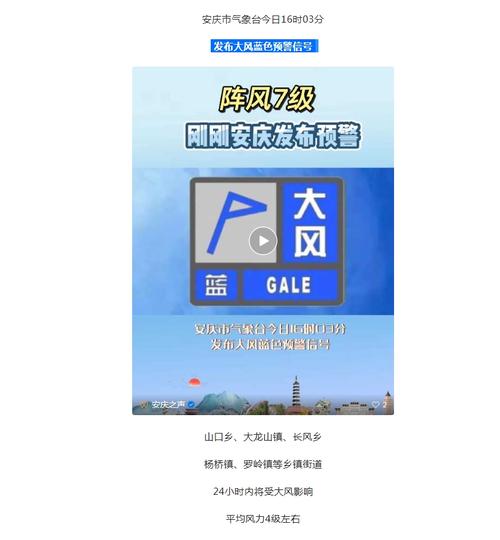 四川省阆中市发布大风蓝色预警_1