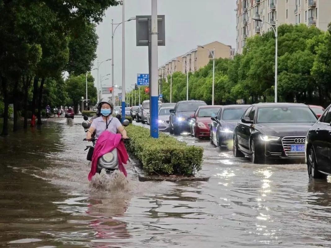 上海市金山区发布暴雨黄色预警_1