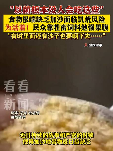 加沙食物短缺日益严重 部分民众以动物饲料果腹
