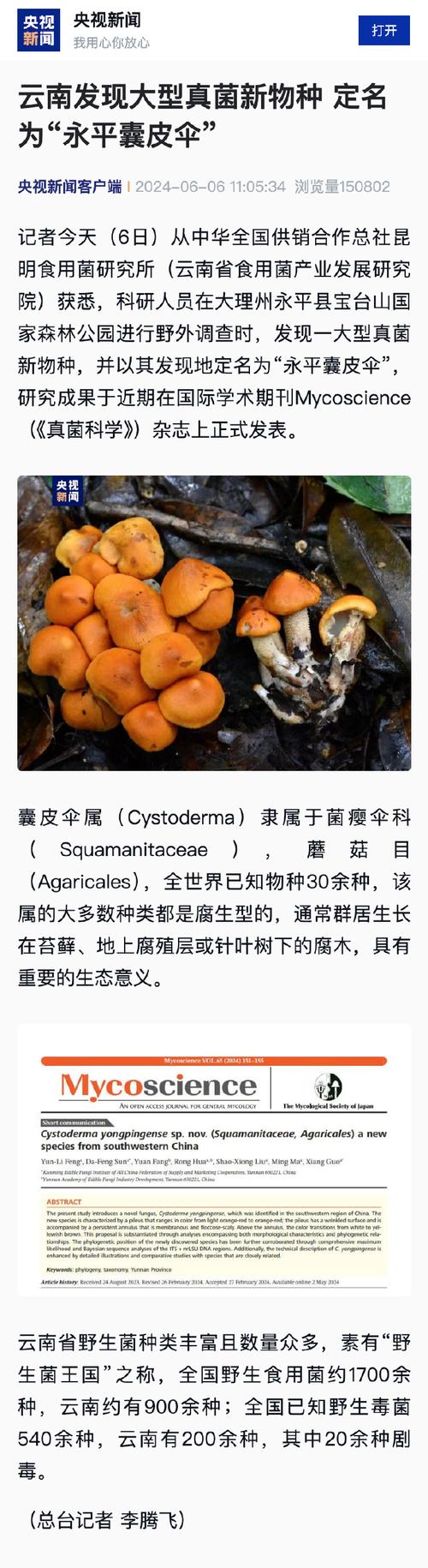 云南发现大型真菌新物种 定名为“永平囊皮伞”