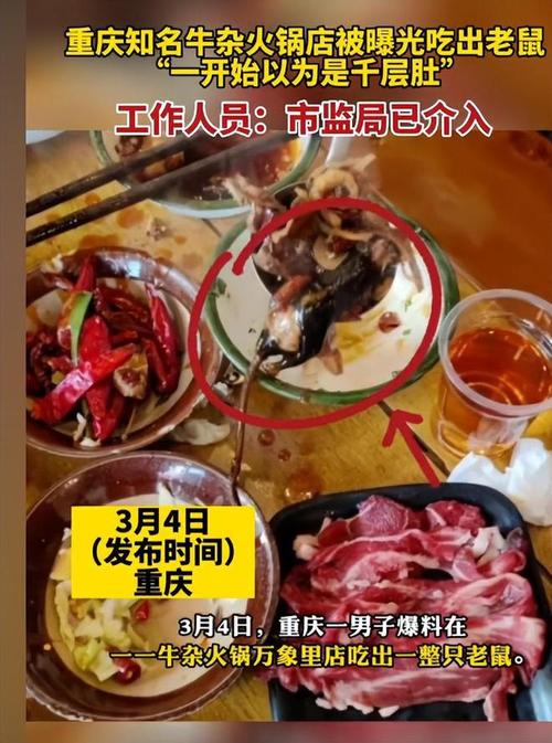 吓人!火锅店“天降”2只老鼠,掉到食客头上