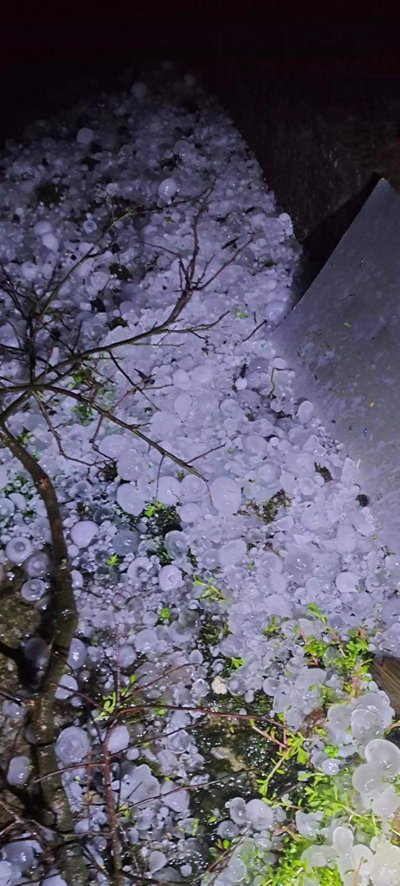 冰雹粒如玻璃珠 广西田林县多地遭遇强对流天气