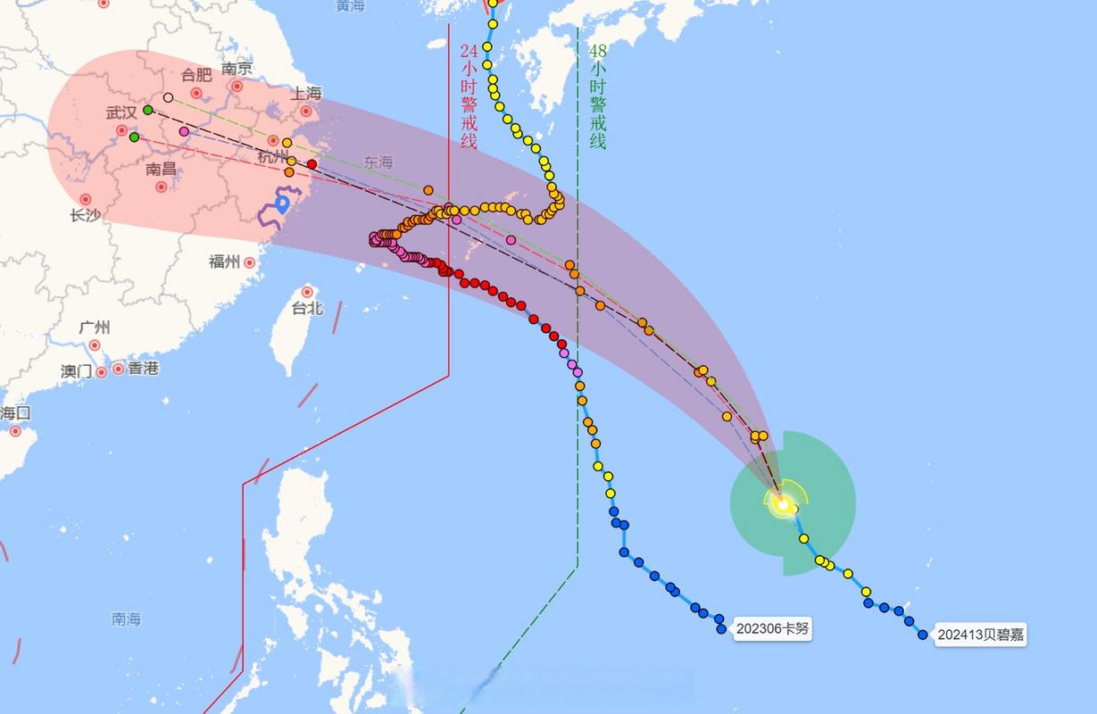 台风蓝色预警!“贝碧嘉”强度减弱 今夜将移入河南