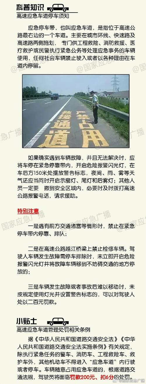 男子骑车“飙”上延安高架,被民警拦截后竟加速逃离?最新情况
