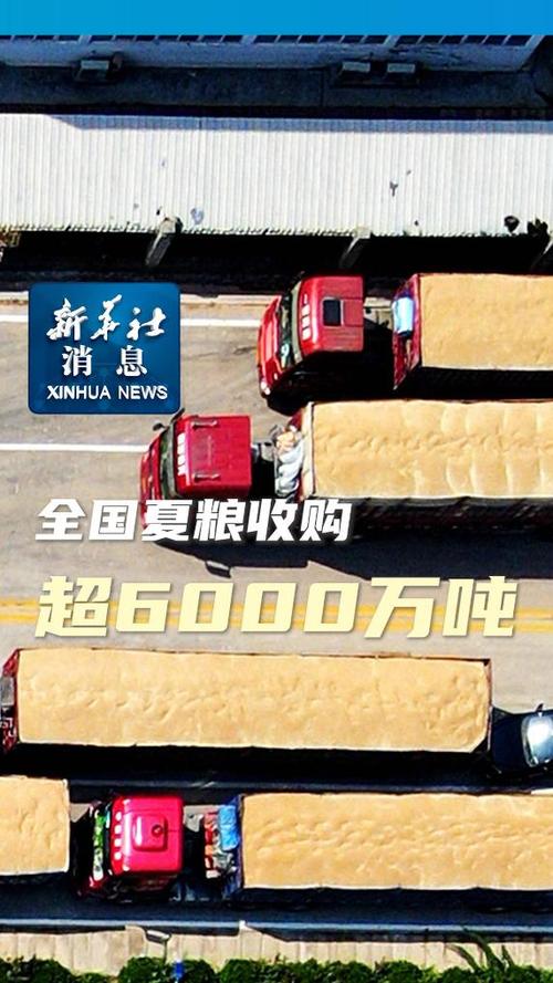 全国夏粮旺季收购进展总体顺利