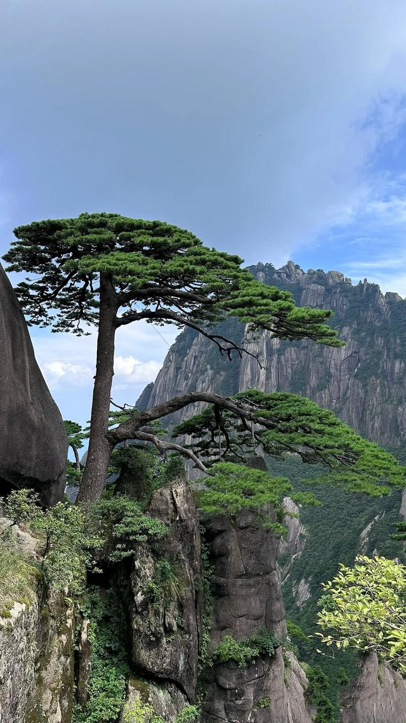 安徽黄山风景区成为中国首个山岳型零碳景区