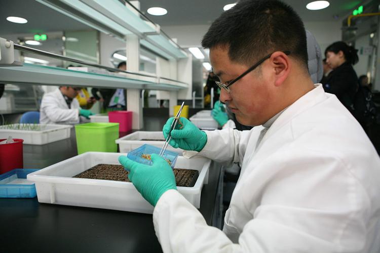 中国种子集团有限公司执行董事、党委书记应敏杰:打造产学研深度融合的“海南实践”