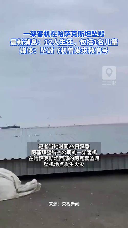 哈萨克斯坦副总理:飞机失事原因尚不能确定