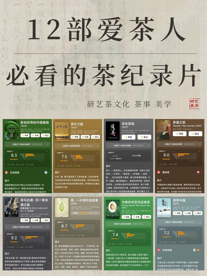 从一片叶到一杯茶,法治全链条保护记者探访欧亚万里茶道源头羊楼洞