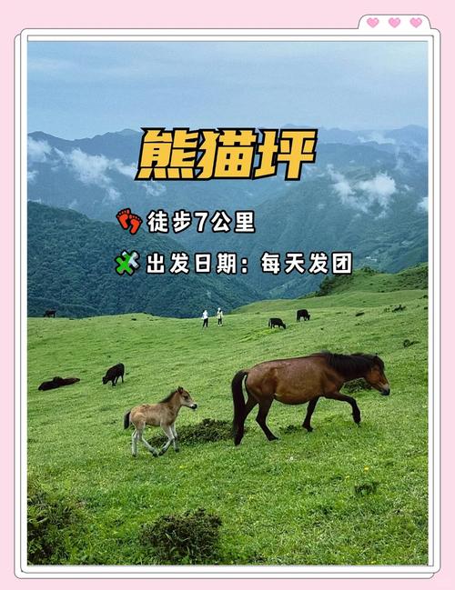 四川省人大代表苏拉王平:发展山地户外运动场地代替“野生网红徒步点”