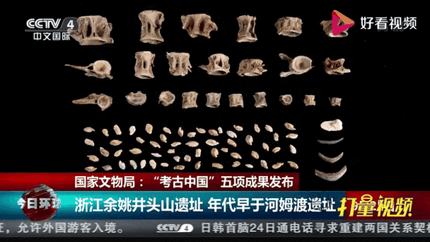 “考古中国”最新成果发布 发现汉代以来江淮东部盐业生产遗存