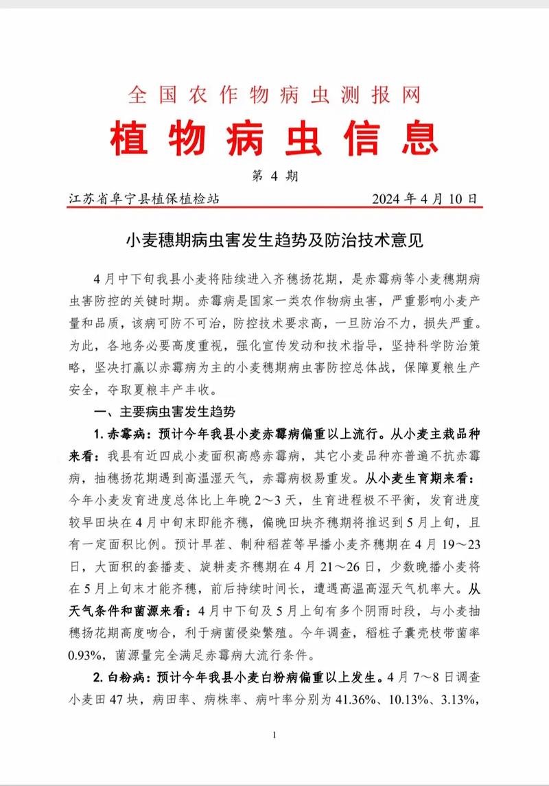 4月豫南地区预计雨水偏多 专家建议加强小麦赤霉病防治