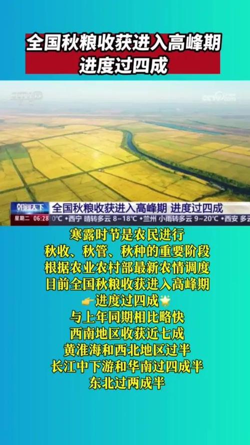 全国各地秋粮逐步进入购销旺季 政策“组合拳”为顺畅销售护航