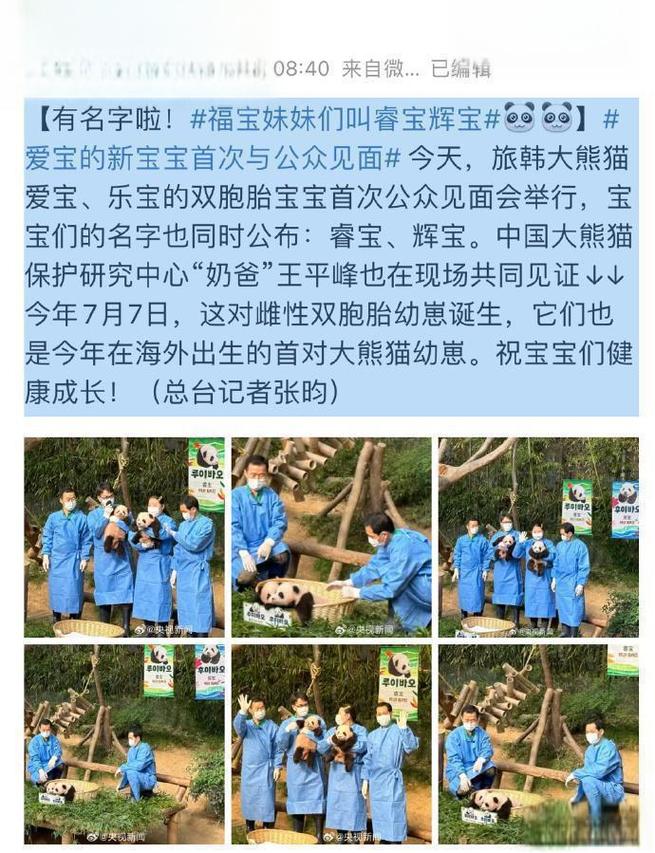 “辉宝”爱人气 “睿宝”要健康 旅韩?双胞胎一岁啦~