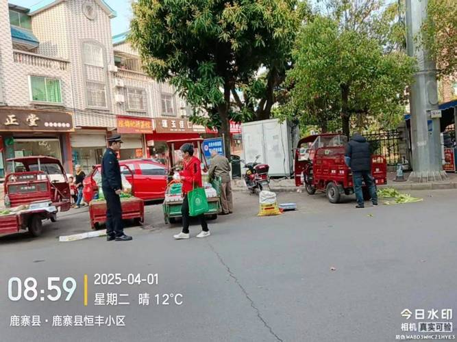 株洲城管人:节日我在岗 养护不停歇