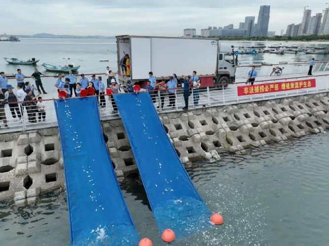 鱼丰景美,蓝色粮仓气象新福建:以案促治破解“九龙治海”监管不到位难题