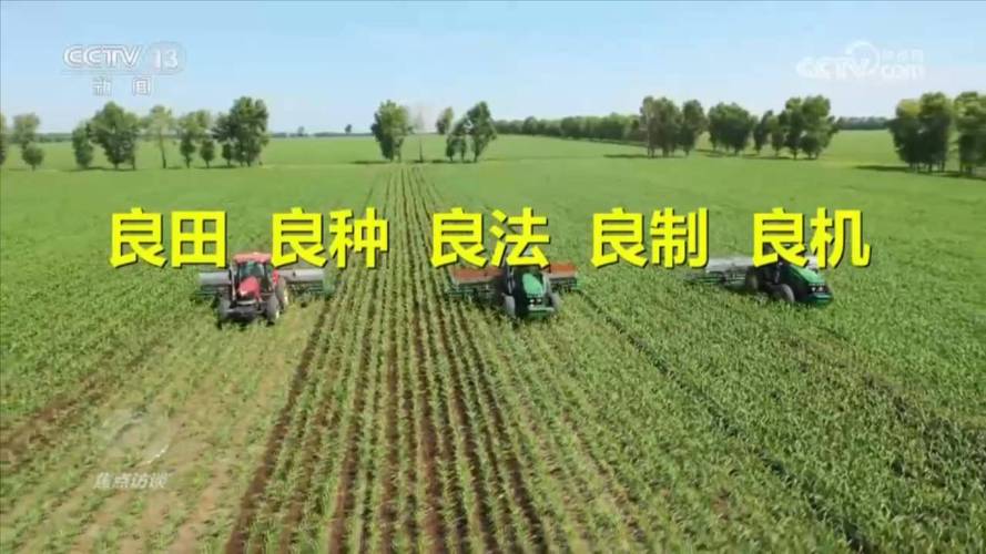 良田+良种+良法,解锁天府粮仓“丰收密码”