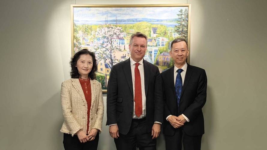 中国驻瑞典大使崔爱民会见瑞典外交大臣斯蒂纳加德