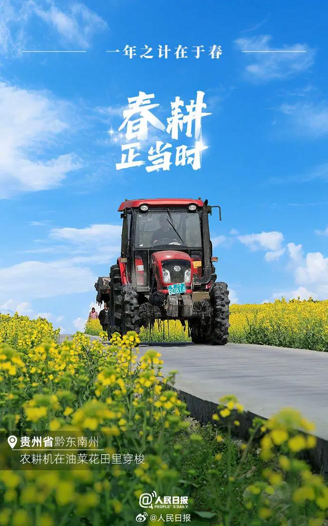 春意盎然万象“新” 春耕画卷由南向北次第铺展