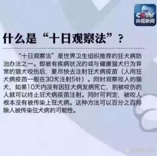 什么是狂犬病三级暴露?株洲市哪里可以打狂犬疫苗?点击查收