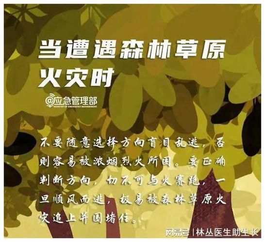 云南省发布总林长令:坚决遏制森林火灾多发频发态势