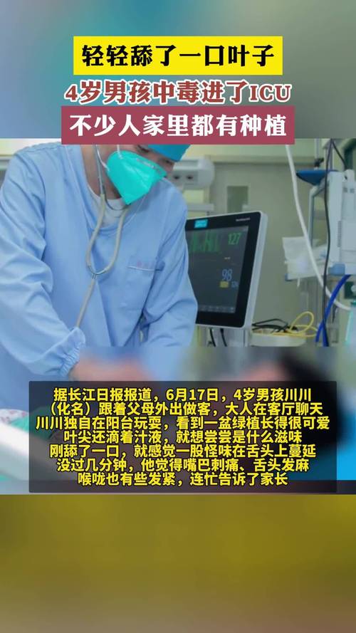 轻轻舔一口,4岁男孩中毒进了ICU!不少人家里都有……