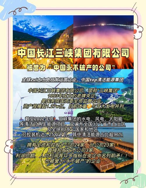 浙南“中国电器之都”助力非洲打造新能源发展热土