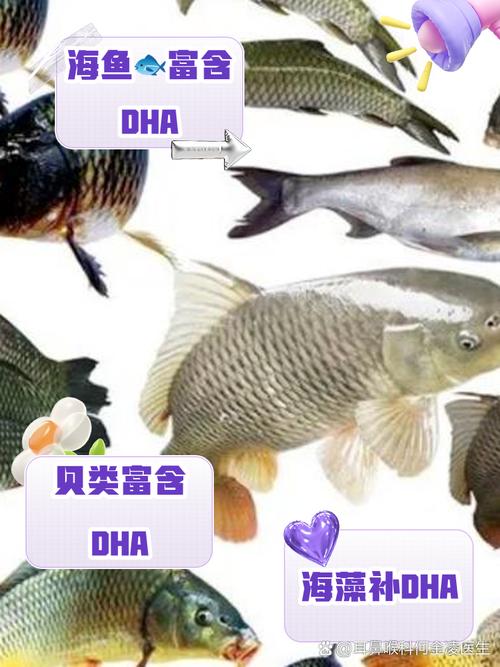 补DHA别只知道吃深海鱼!8种便宜的淡水鱼同样有效!第一个就很常见