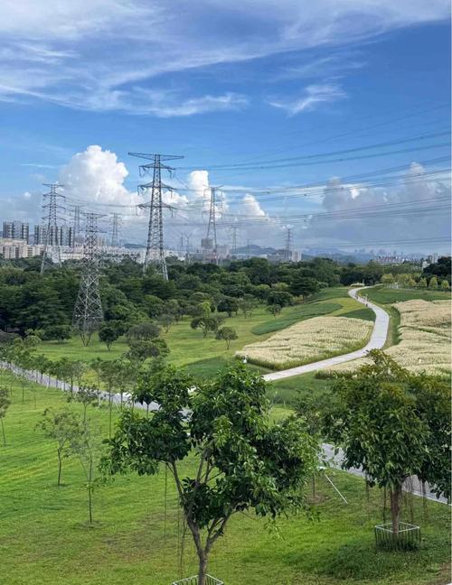宝安区打造影迷“宝藏地”