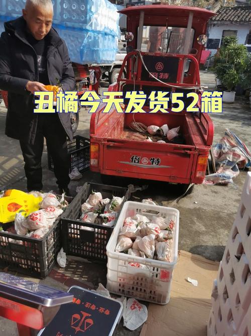30岁的他 在土地里找到猕猴桃“出海”玄机