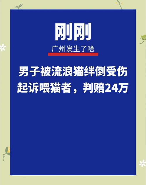 男子踩到流浪猫摔伤,投喂者赔24万!律师:若多人投喂或将共同担责