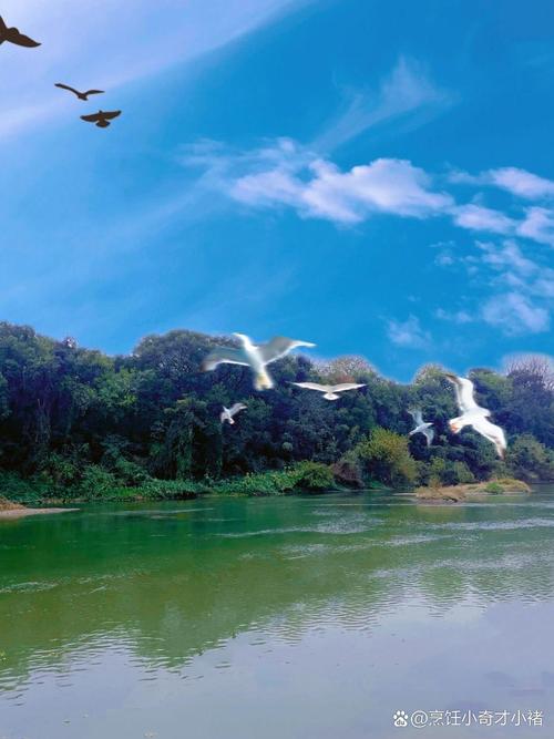 湖清水净候鸟翩跹 绘就人鸟和谐的生态美景