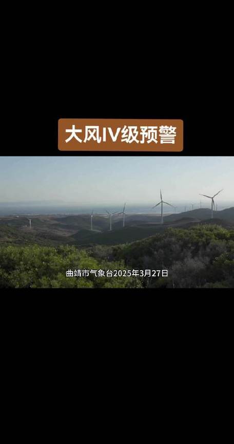 新疆维吾尔自治区青河县发布大风黄色预警_2