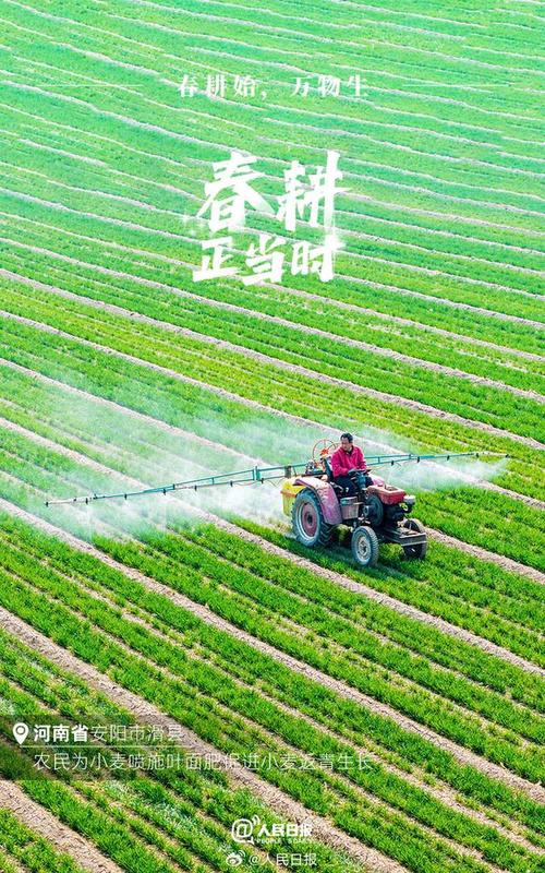 「新春走基层」春耕,播撒重建家园的“希望”