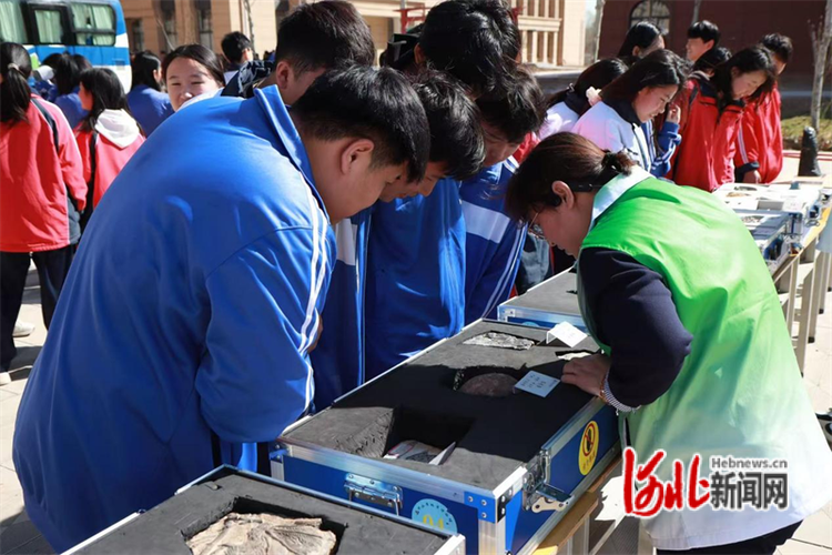 河北省地质九队开展地学科普公益宣传