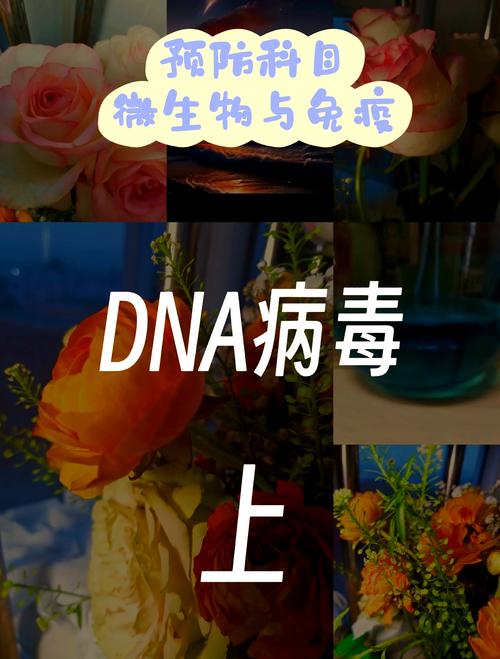 动物病毒感染人类关键蛋白发现