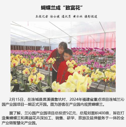 连城莒溪:蝴蝶兰成“致富花”