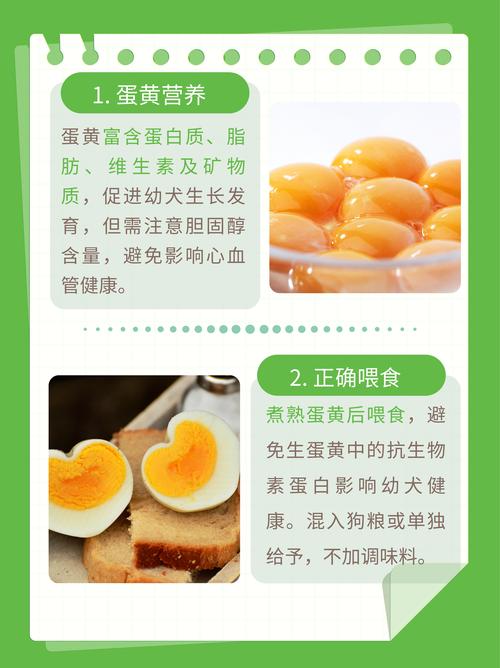 一天吃几个鸡蛋最好?蛋黄越黄,营养价值越高吗?|吃出健康来