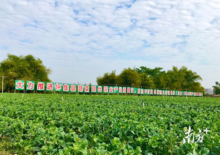 河南:深入探索生态环境“智”理路径 推动地方经济发展走上“绿色快车道”