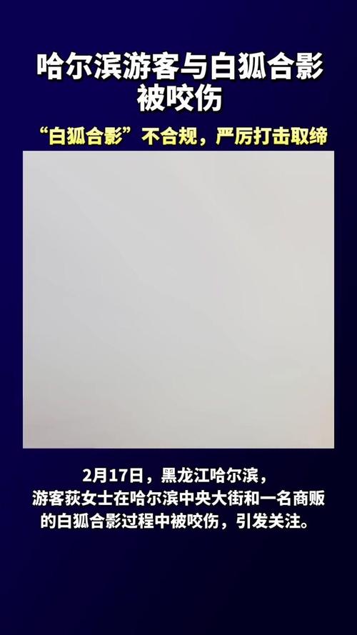 游客被白狐咬伤!当地文旅:“白狐合影”不合规