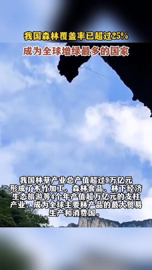 森林覆盖率超25%我国成为全球增绿最快最多的国家