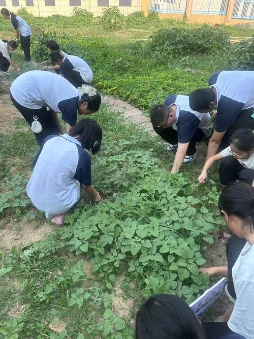 劳动基地里的开学第一课