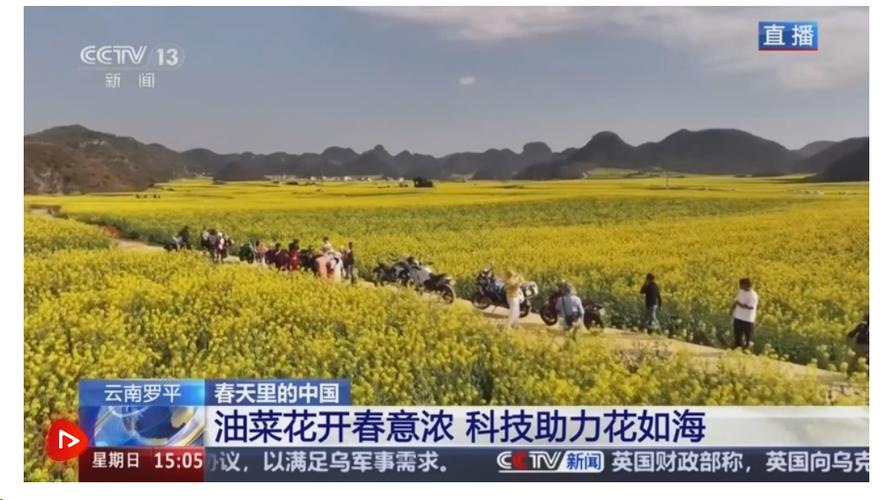 从“种庄稼”到“种风景” 农文旅融合让村民鼓起“钱袋子”