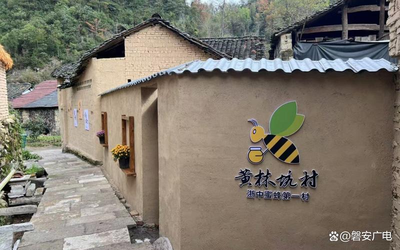 深山小村奔富路:一群人一条心办一件事